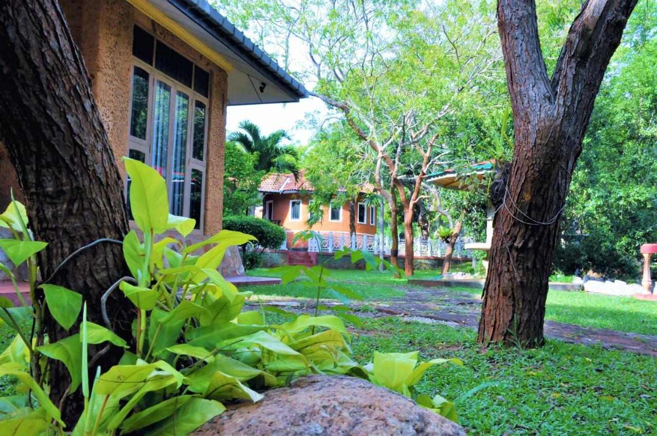 Kodigahawewa Forest Resort Tissamaharama Buitenkant foto