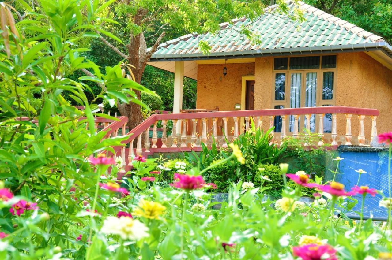 Kodigahawewa Forest Resort Tissamaharama Buitenkant foto